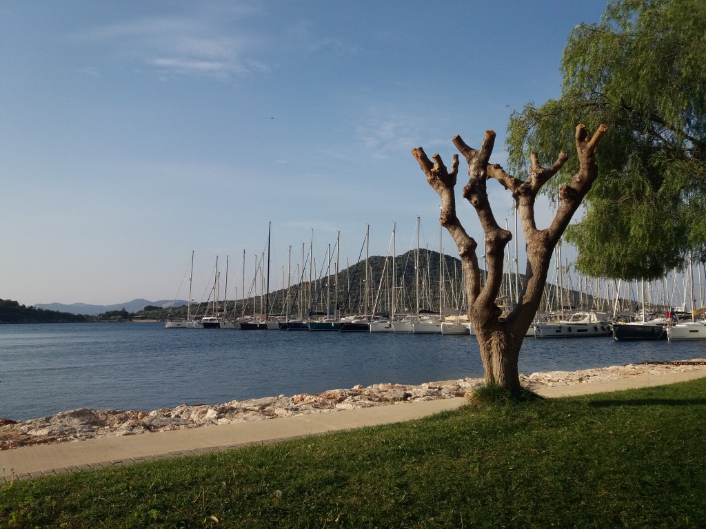 2- Marinada Sanatsal&nbsp;Ağaç