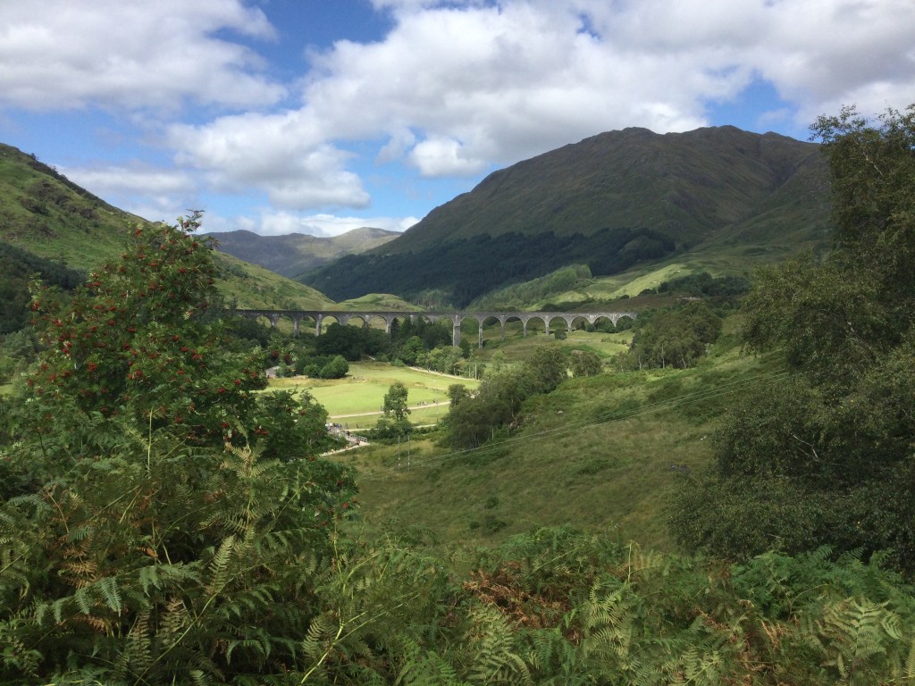 36. Viyadükten Büyücülük&nbsp;Okuluna