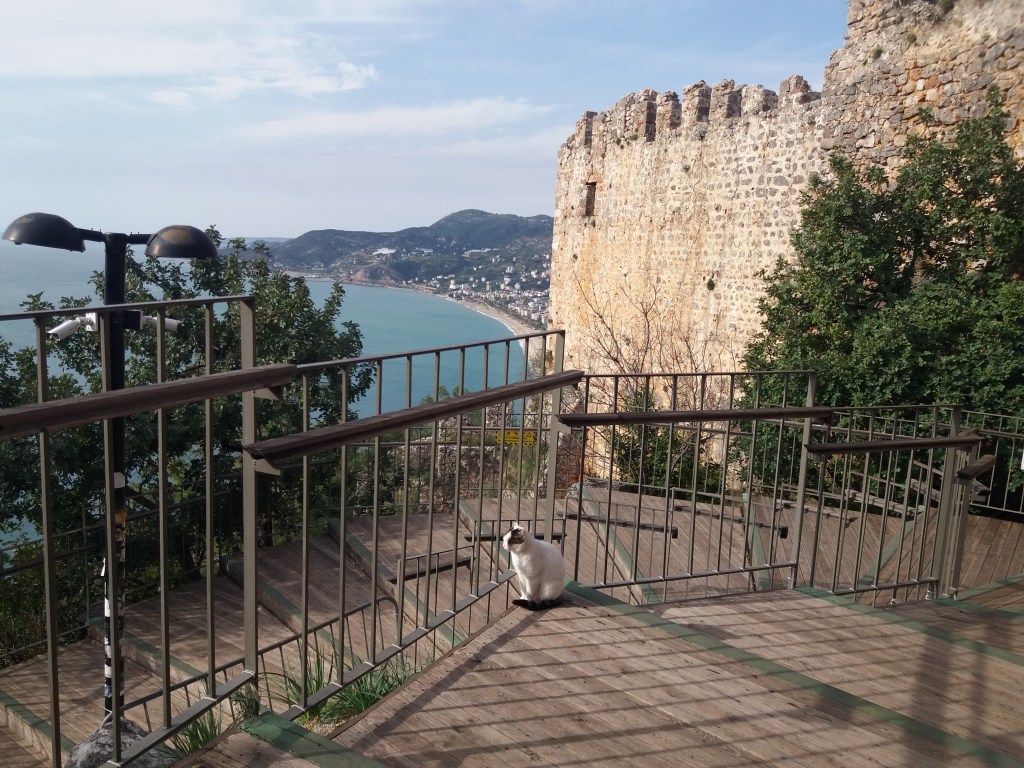 54. Kalenin Muhafızı