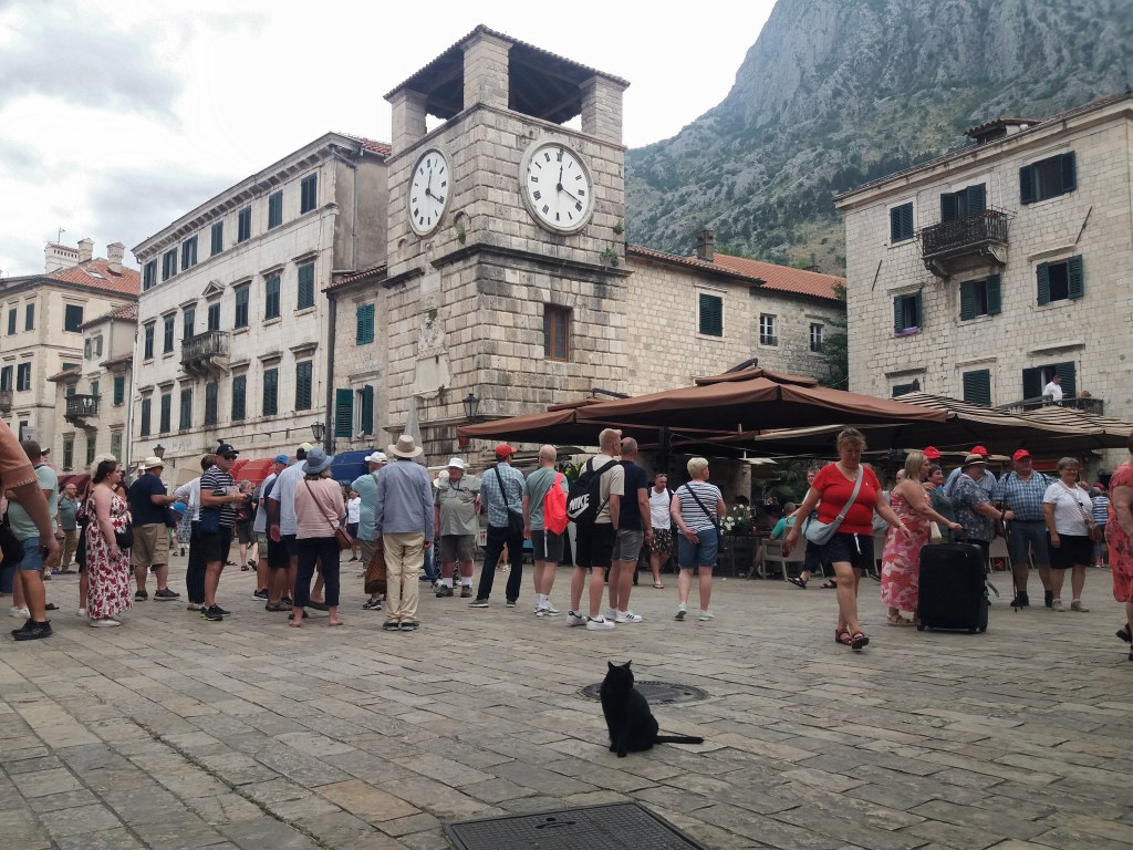 77. Tarihi Meydanın Kara&nbsp;Kedisi